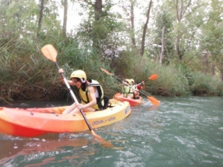  Rowing hard 